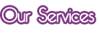 Shopping Cart Software & Custom Web Design