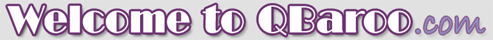 Shopping Cart Software & Custom Web Design